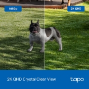 Picture of TP-Link Tapo C425 Bullet IP security camera Outdoor 2560 x 1440 pixels Ceiling/wall