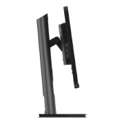 Picture of Lenovo ThinkVision P25i-30 LED display 62.2 cm (24.5") 1920 x 1080 pixels Full HD Black
