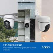 Picture of TP-Link Tapo TC41 V2 Spherical IP security camera Indoor & outdoor 2304 x 1296 pixels Ceiling/Wall/Pole