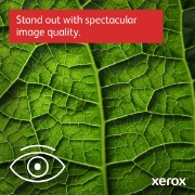 Picture of Xerox VersaLink C415 A4 40ppm Duplex Copy/Print/Scan/Fax PS3 PCL5e/6 2 Trays 251 Sheets