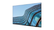 Picture of Lenovo ThinkVision E55 LFD 138.7 cm (54.6") 3840 x 2160 pixels IPS Black
