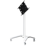 Picture of B-Tech BT8566 177.8 cm (70") Floor White