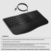 Picture of HP 485 Comfort Wired Keyboard