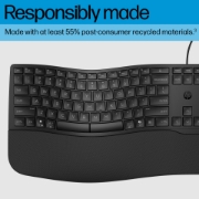 Picture of HP 485 Comfort Wired Keyboard