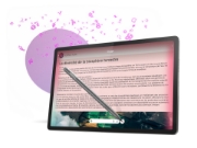 Picture of Lenovo Idea Tab Pro Mediatek 256 GB 32.3 cm (12.7") 8 GB Wi-Fi 6E (802.11ax) Android 14 Grey