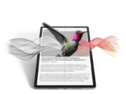 Picture of Lenovo Idea Tab Pro Mediatek 256 GB 32.3 cm (12.7") 8 GB Wi-Fi 6E (802.11ax) Android 14 Grey