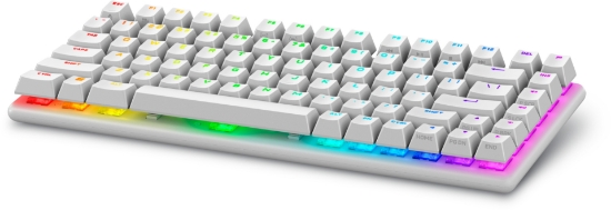 Picture of Alienware Pro Wireless Gaming keyboard USB + RF Wireless + Bluetooth White