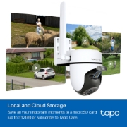 Picture of TP-Link TAPO C501GW security camera Turret IP security camera Outdoor 1920 x 1080 pixels Wall