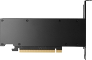 Picture of HP NVIDIA RTX PH x2xxx 4mDP Graphics