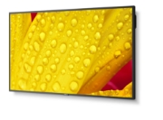 Picture of NEC MultiSync M501-2 Kiosk design 127 cm (50") LED 4K Ultra HD Black Built-in processor