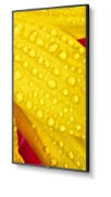 Picture of NEC MultiSync M501-2 Kiosk design 127 cm (50") LED 4K Ultra HD Black Built-in processor