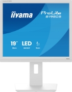 Picture of iiyama ProLite B1980S-W1 computer monitor 48.3 cm (19") 1280 x 1024 pixels SVGA LED White