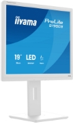 Picture of iiyama ProLite B1980S-W1 computer monitor 48.3 cm (19") 1280 x 1024 pixels SVGA LED White