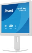 Picture of iiyama ProLite B1980S-W1 computer monitor 48.3 cm (19") 1280 x 1024 pixels SVGA LED White