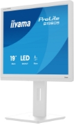 Picture of iiyama ProLite B1980S-W1 computer monitor 48.3 cm (19") 1280 x 1024 pixels SVGA LED White