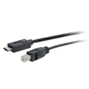 Picture of C2G 10ft, USB 2.0 Type C, USB B USB cable 3.048 m USB C Black