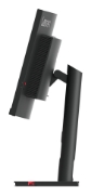 Picture of Lenovo ThinkVision T34w-30 LED display 86.4 cm (34") 3440 x 1440 pixels Wide Quad HD Black