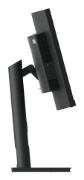 Picture of Lenovo ThinkVision T34w-30 LED display 86.4 cm (34") 3440 x 1440 pixels Wide Quad HD Black