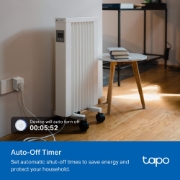 Picture of TP-Link TAPO P100M smart plug 2300 W Home, Office White