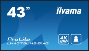 Picture of iiyama ProLite Digital signage flat panel 108 cm (42.5") LCD Wi-Fi 500 cd/m² 4K Ultra HD Black Built-in processor Android 11 24/7
