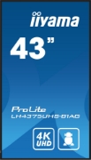 Picture of iiyama ProLite Digital signage flat panel 108 cm (42.5") LCD Wi-Fi 500 cd/m² 4K Ultra HD Black Built-in processor Android 11 24/7