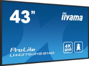Picture of iiyama ProLite Digital signage flat panel 108 cm (42.5") LCD Wi-Fi 500 cd/m² 4K Ultra HD Black Built-in processor Android 11 24/7