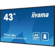 Picture of iiyama ProLite Digital signage flat panel 108 cm (42.5") LCD Wi-Fi 500 cd/m² 4K Ultra HD Black Built-in processor Android 11 24/7