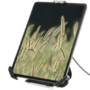 Picture of StarTech.com Secure Tablet Stand w/ K-Slot Cable Lock - Locking Tablet Holder for 7.9"-13" Tablets - Universal Adjustable Tablet Mount for Desk/Surface - Lockable Anti-Theft Security Mount
