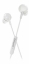 Picture of Philips TAE5008WT/00 headphones/headset Wired In-ear Calls/Music USB Type-C White