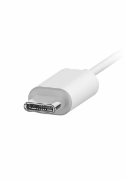 Picture of Philips TAE5008WT/00 headphones/headset Wired In-ear Calls/Music USB Type-C White