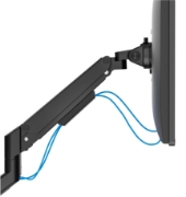Picture of Neomounts DS70-250BL2 Monitor arm 17-32" - gas spring - Topfix - 180°-stop