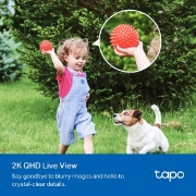 Picture of TP-Link Tapo Smart Wire-Free Security Camera and Solar Panel