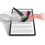 Picture of Lenovo Idea Tab Pro Mediatek 128 GB 32.3 cm (12.7") 8 GB Wi-Fi 6E (802.11ax) Android 14 Grey