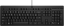 Afbeeldingen van HP 125 G2 USB WD KBD toetsenbord Kantoor Zwart