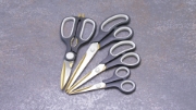Image de Genius Ideas Ciseaux enduits de titane (4pcs)
