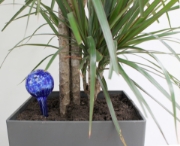 Image de Genius Ideas Distributeur d'Eau pour Plantes 'Mini-Ampoule' - Lot de 2