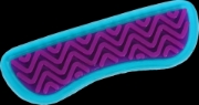 Image de Wellys Paire de coussinets protecteurs pour tendon d'Achille