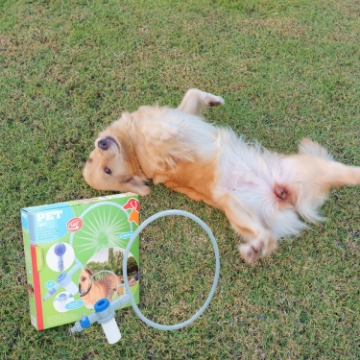 Show details for Pet Treatment ABS 360° Pet Washer Picture of Pet Treatment ABS 360° Pet Washer