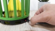 Afbeeldingen van Genius Ideas GI-054561: FLYTRAP Verlichte Insectenval 'Cactus'