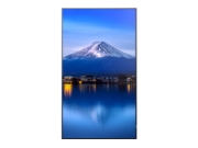 Image de SHARP/NEC MultiSync P656 En forme de kiosk 163,8 cm (64.5") LED 700 cd/m² 4K Ultra HD Noir Intégré dans le processeur