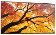 Afbeeldingen van Sharp MultiSync M552 Digitale signage flatscreen 139,7 cm (55") LCD 550 cd/m² 4K Ultra HD Zwart Touchscreen