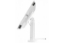 Picture of Compulocks iPad 10.2" Space Enclosure Tilting Stand 8" White