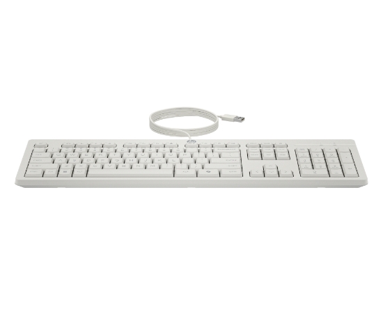 Image de HP Ensemble combiné clavier et souris filaires 225