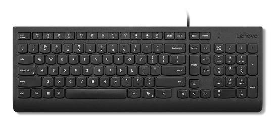 Picture of Lenovo 4Y41R64667 keyboard Home/Office USB French, German Black