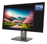 Image de Lenovo ThinkVision P32UD-40 Moniteur
