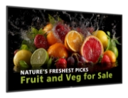 Picture of Philips 5000 series 98BDL5050D/00 Signage Display 2.49 m (98") LCD Wi-Fi 600 cd/m² Full HD Black Built-in processor Android