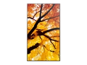 Image de Sharp MultiSync M432 Écran plat de signalisation numérique 108 cm (42.5") LCD 550 cd/m² 4K Ultra HD Noir