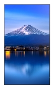 Picture of Sharp MultiSync P556 Kiosk design 139.7 cm (55") LCD 700 cd/m² 4K Ultra HD Black Built-in processor