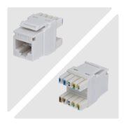 Picture of StarTech.com Cat6 Keystone Jack, 24-Pack RJ45 Ethernet Keystone Jacks, UTP Cat6 Wall Jack, 180-Degree 110 Punch Down, White