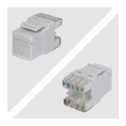 Picture of StarTech.com Cat6 Keystone Jack, 24-Pack RJ45 Ethernet Keystone Jacks, UTP Cat6 Wall Jack, 180-Degree 110 Punch Down, White